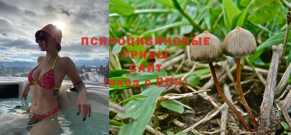 ALPHA PVP Арсеньев