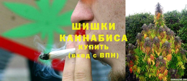 сатива Армянск