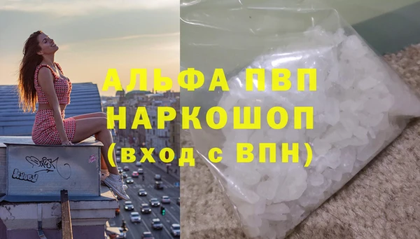 сатива Армянск