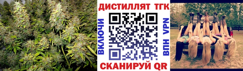 Дистиллят ТГК концентрат  Новодвинск 