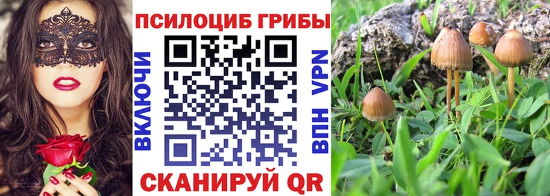 Галлюциногенные грибы мицелий  mega ссылка  Новодвинск 
